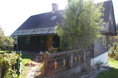 Saglkeusche