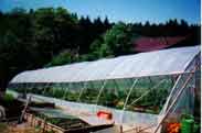 Folientunnel Mai 2002