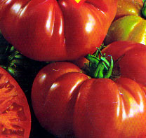 Marmande